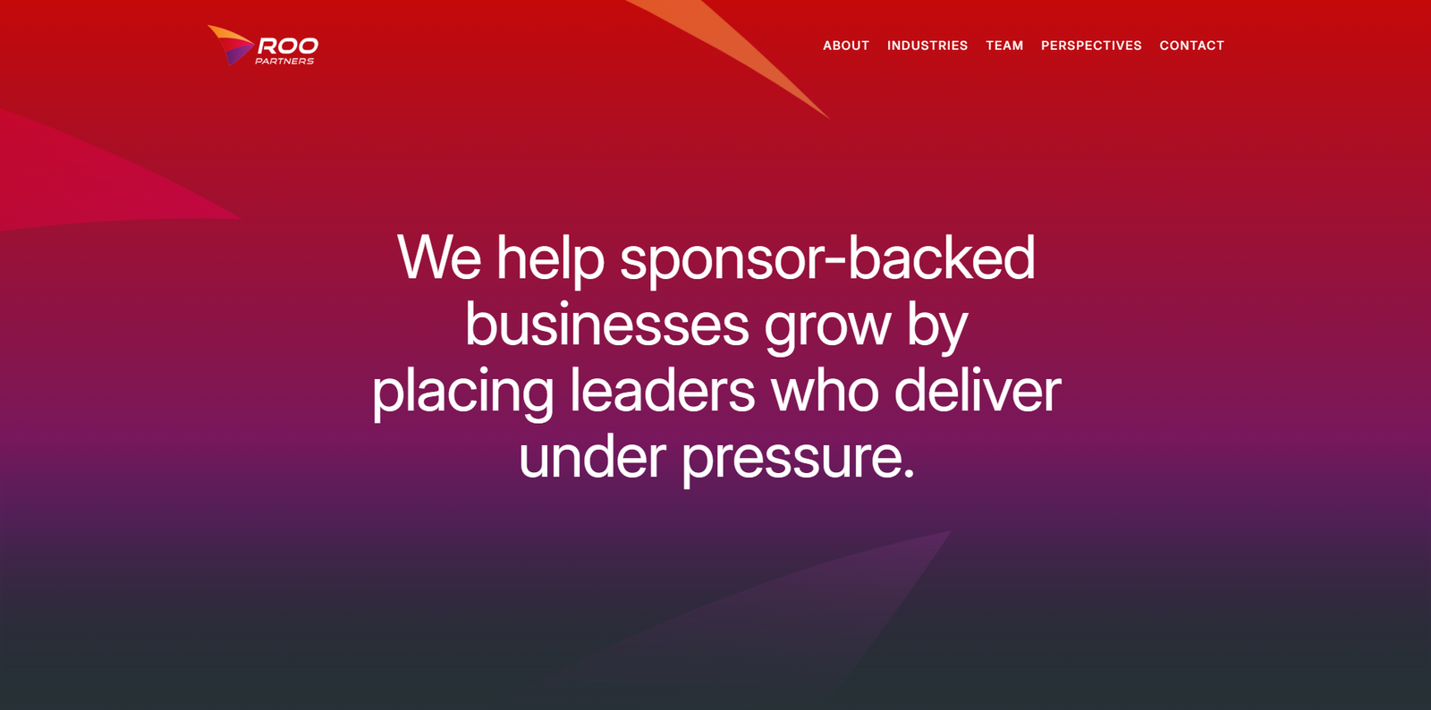 Live screenshot of Roo Partners website
